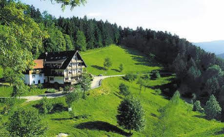Md Waldhotel Palmspring Bad Peterstal-Griesbach Bagian luar foto