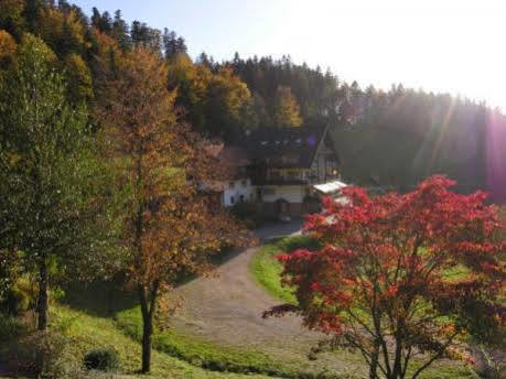 Md Waldhotel Palmspring Bad Peterstal-Griesbach Bagian luar foto