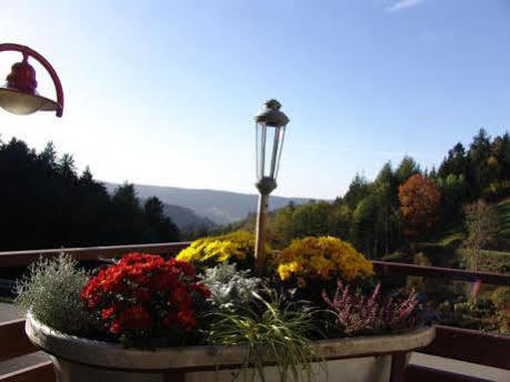Md Waldhotel Palmspring Bad Peterstal-Griesbach Bagian luar foto